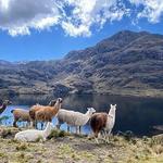 Parque Nacional Cajas