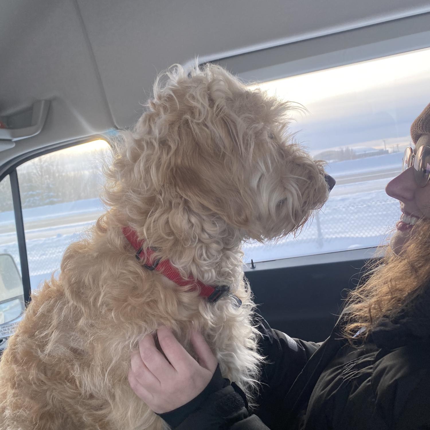 Making friends in Fairbanks, Alaska.