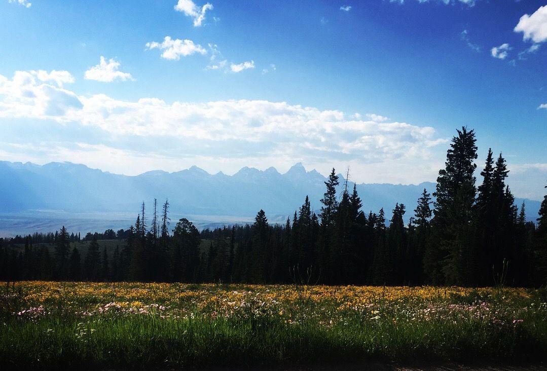 The Wedding Website of Caedran Harvey and Bart Flynn