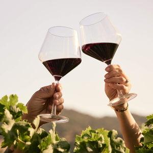Schott Zwiesel Pure Tour Pinot Noir Glasses, Set of 4 | Crate & Barrel