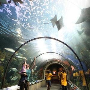 Audobon Aquarium