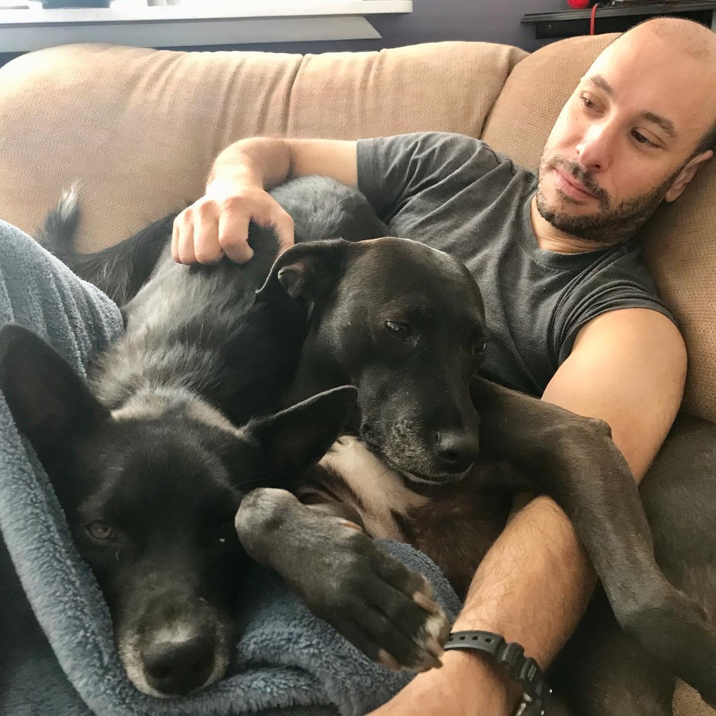 Our Dogs!!!