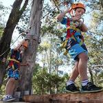 Treetops Adventure Newcastle