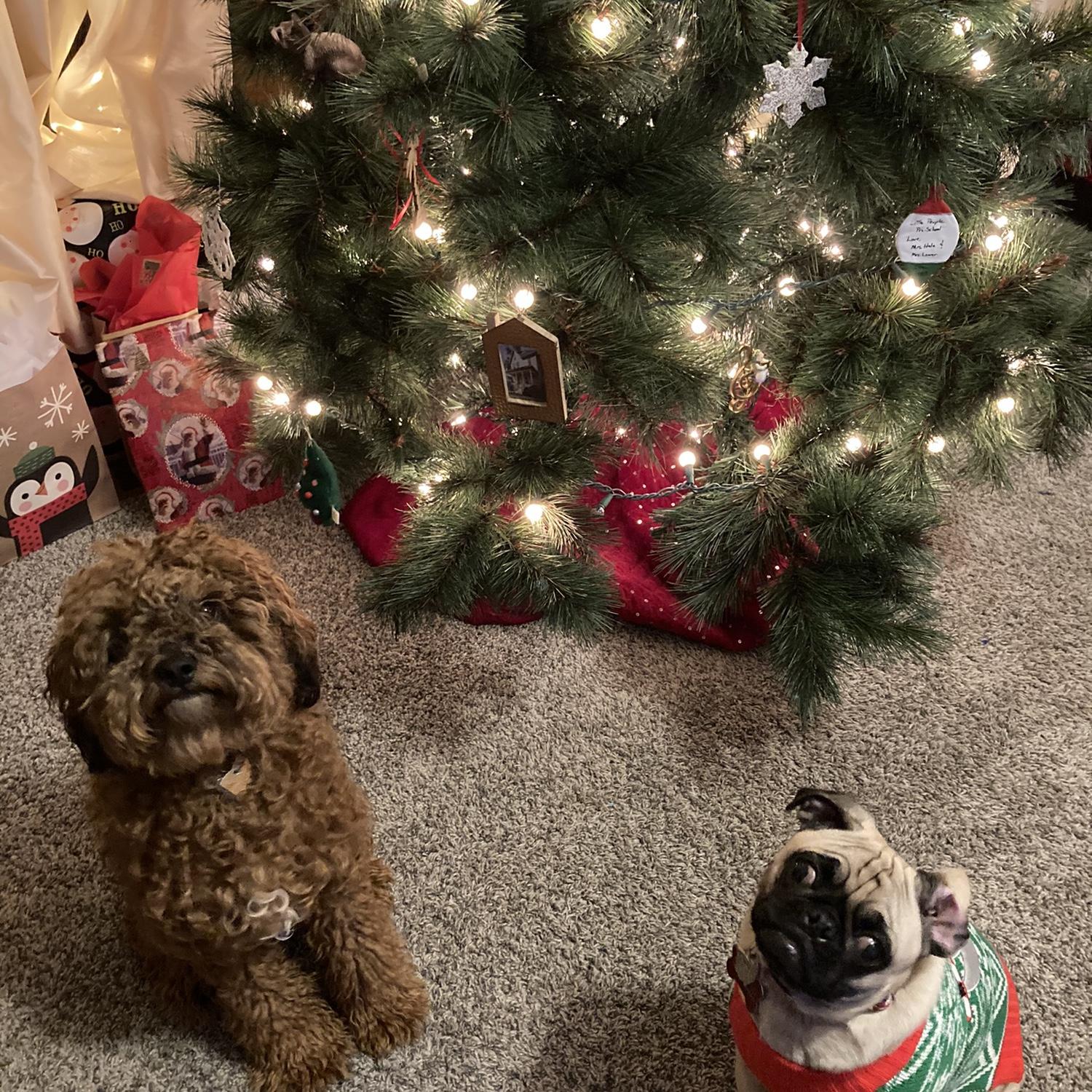 Reuben and Reggie!