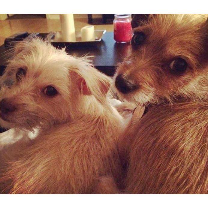Our babies!