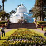 Conservatory of Flowers