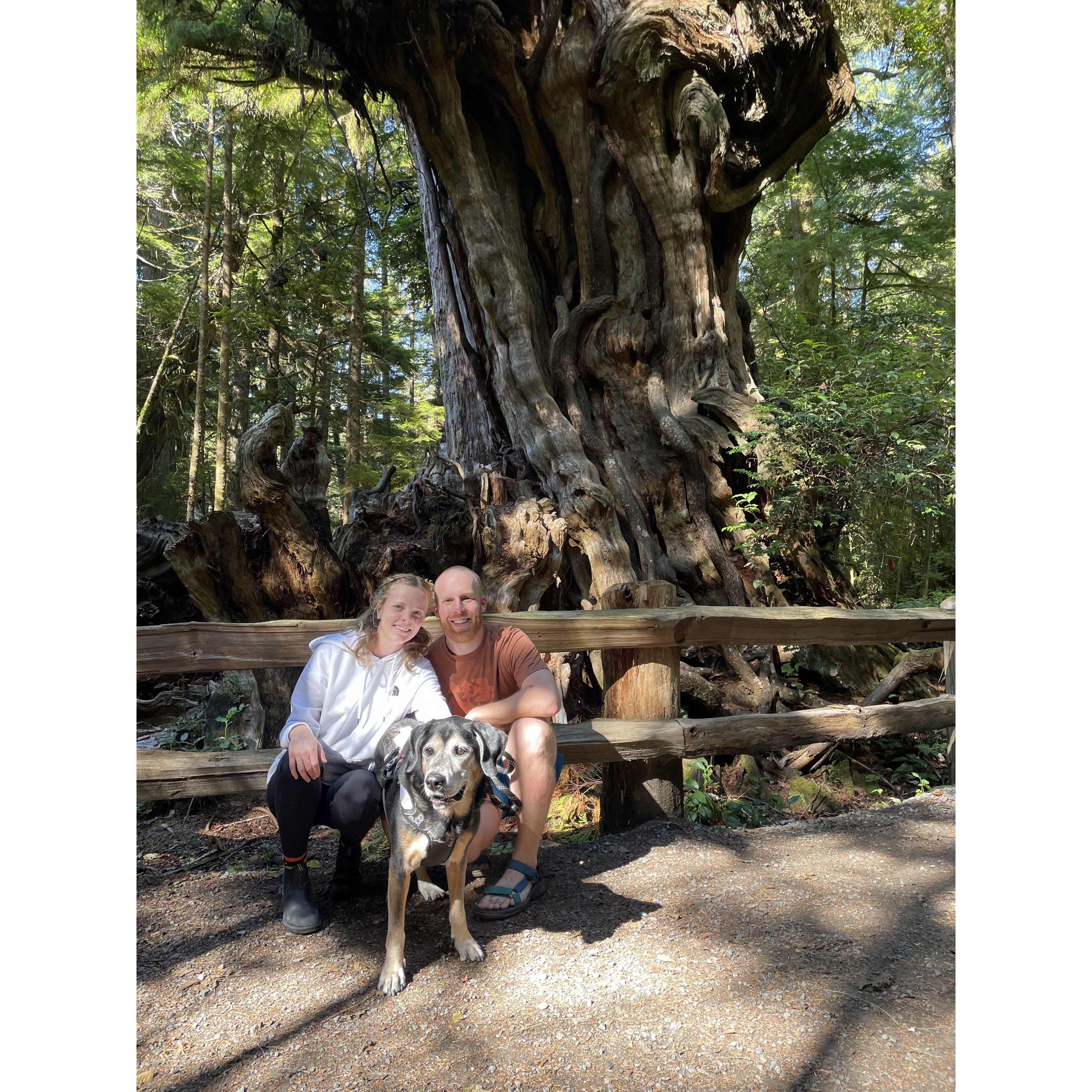 Family trip to Olympic National Park