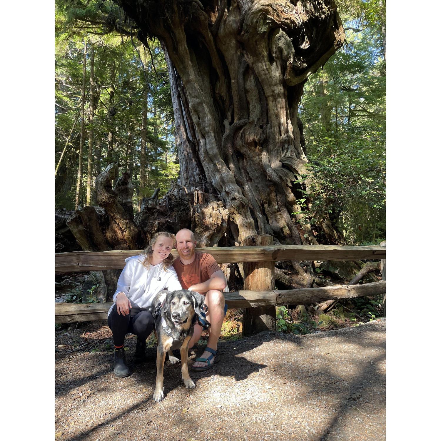 Family trip to Olympic National Park