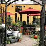Plant Garage