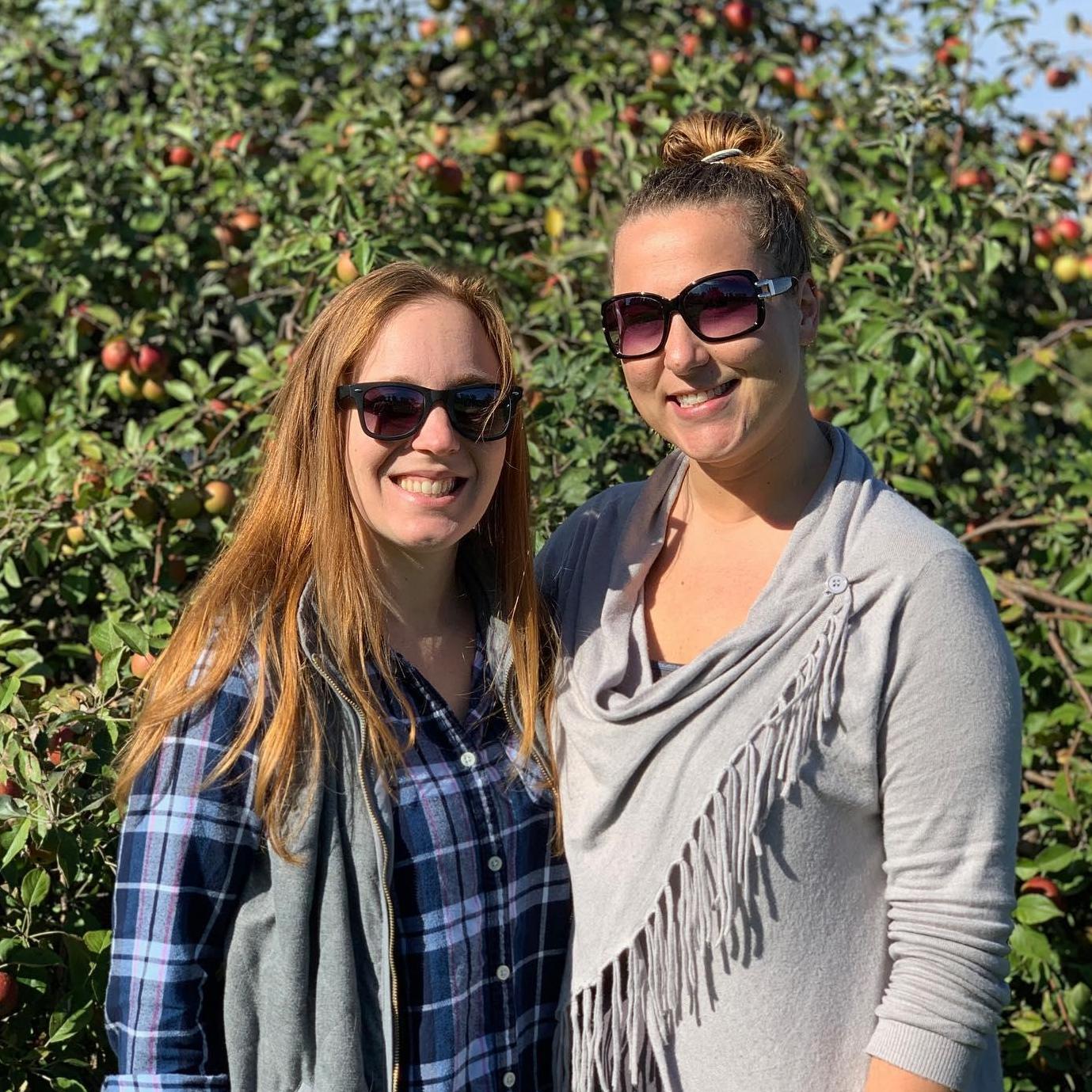 Aamodt's Apply Farm, 2019