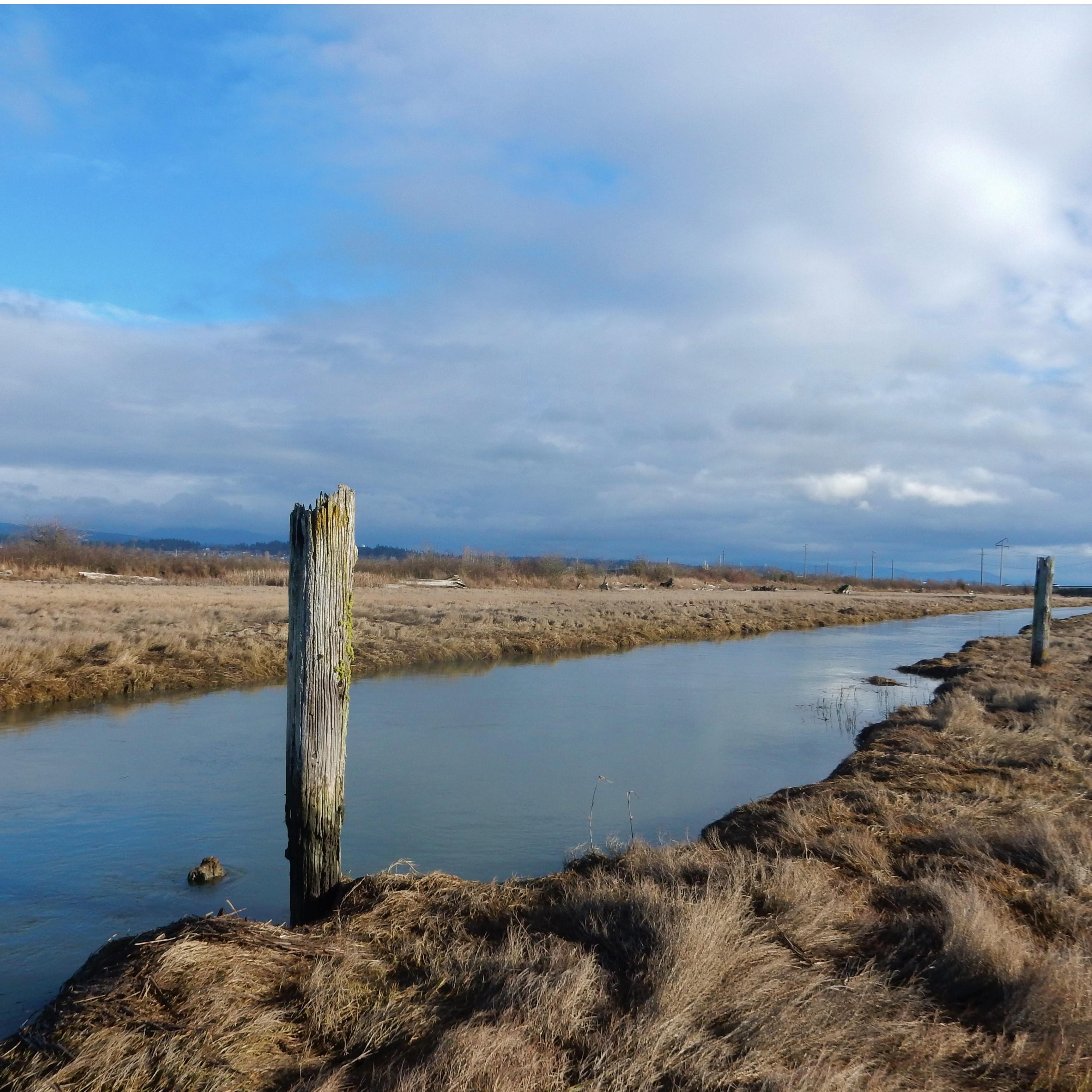 Stillaguamish River between Stanwood and Camano Island