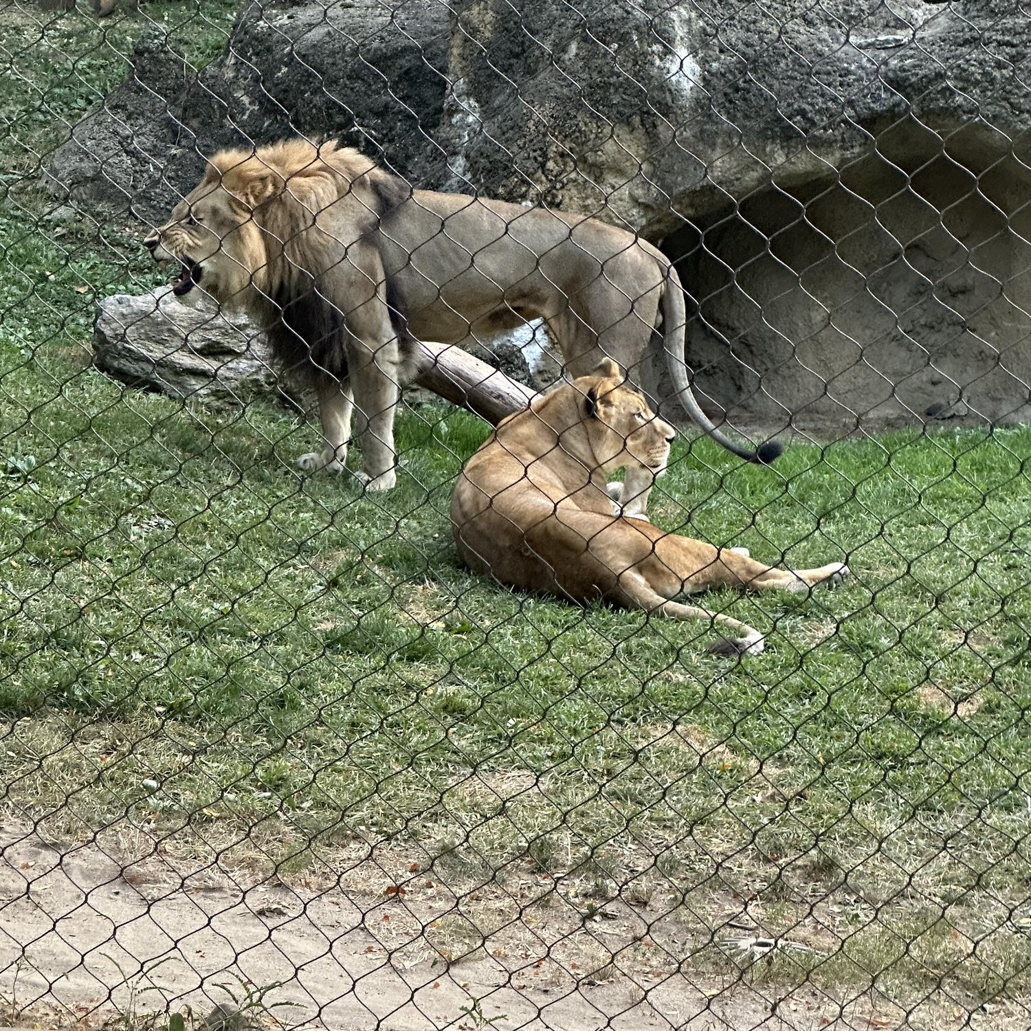 Built from passion, made to last.