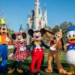 WALT DISNEY WORLD THEME PARKS