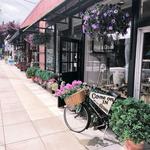 Shop Downtown Bainbridge