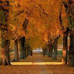 Fort Collins