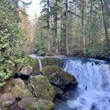 Whatcom Falls Park
