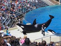 SeaWorld San Diego