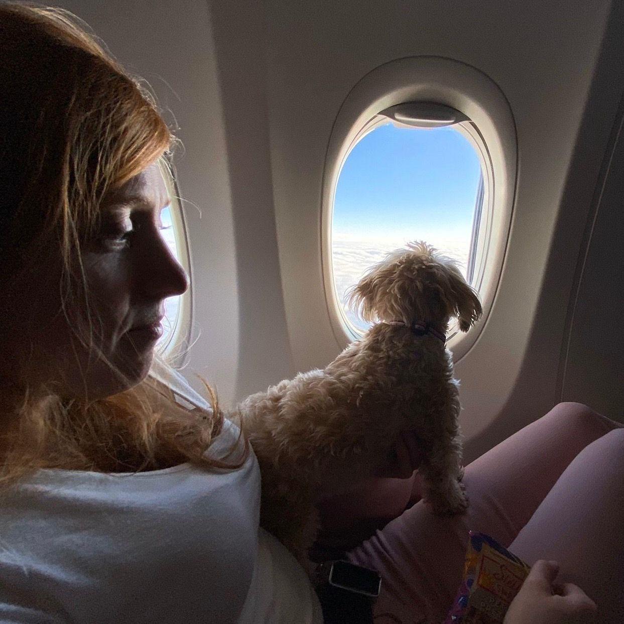 Up until this moment, Andrea claimed she didn't like dogs. There was no turning back after this.