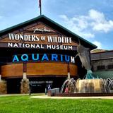 Wonders Of Wildlife National Museum & Aquarium