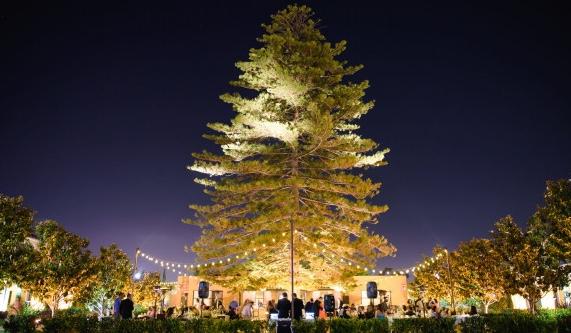 The Wedding Website of Melissa Duran and Dominique Calpo