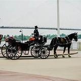 Magical Journey's Carriage Service