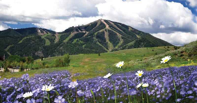 The Wedding Website of Katie Lambert and Nevan Credle