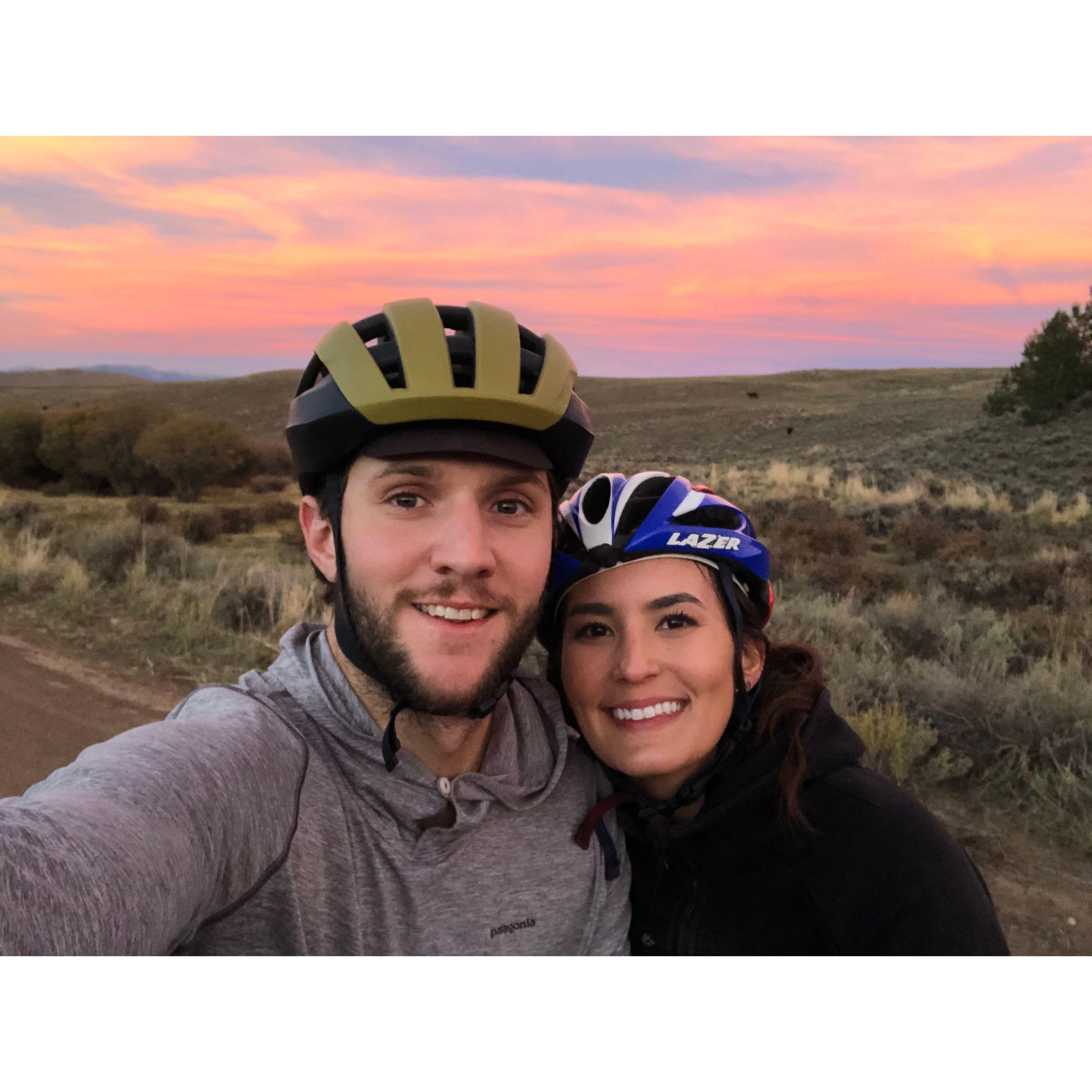 Biking with cows