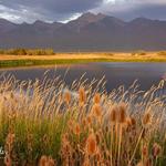 Ninepipe National Wildlife Refuge