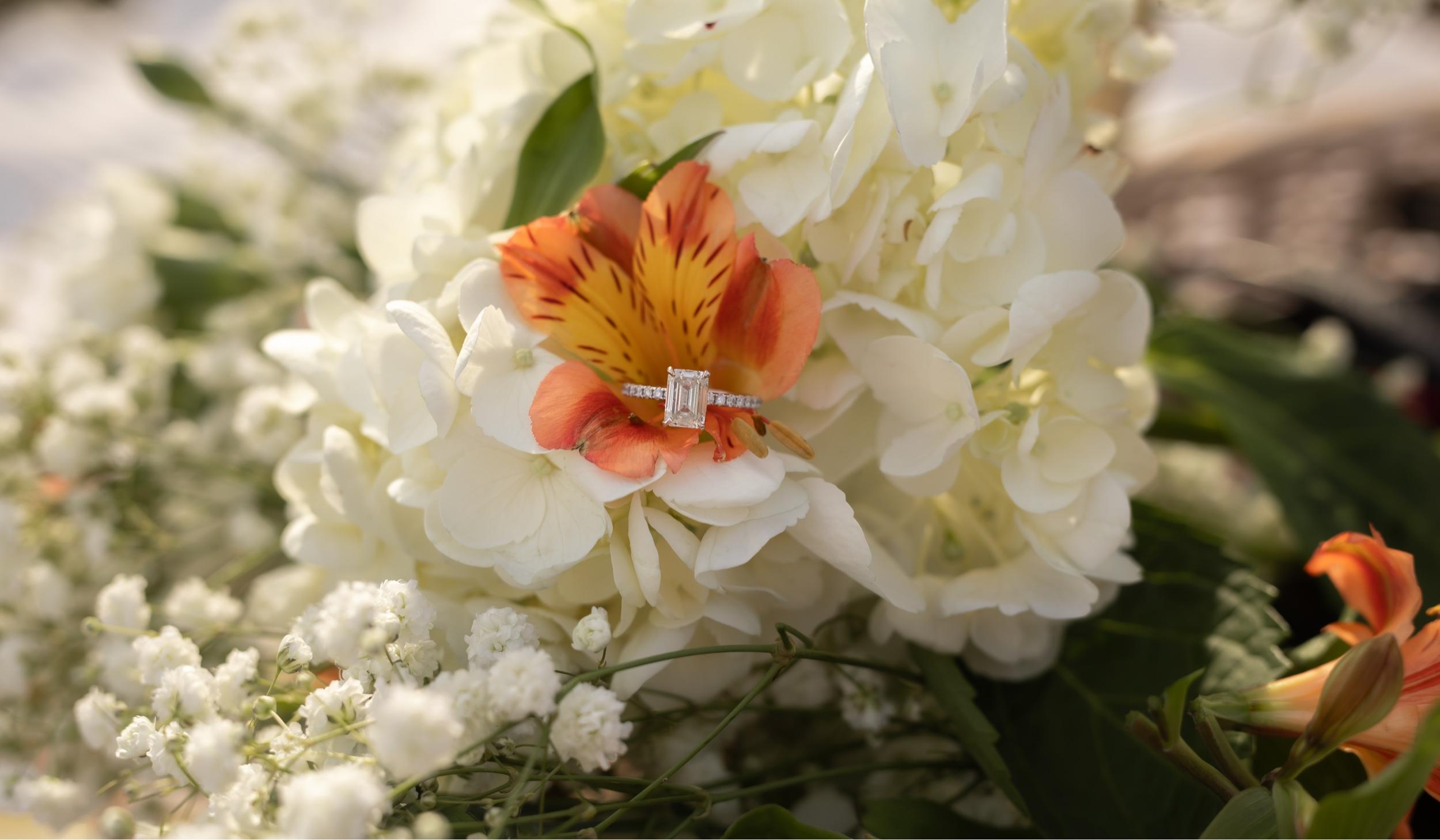 The Wedding Website of Alexa Regalado and Joseph Rojas