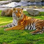 Cape May County Park & Zoo