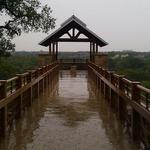 Arbor Hills Nature Preserve