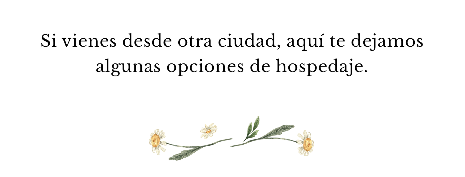 The Wedding Website of Maria Luna and Sebastian Peñaranda