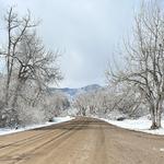 Colorado Trail