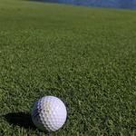 Shepherd's Hollow Golf Club