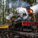 Roaring Camp Train Depot