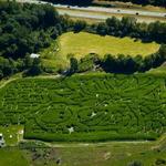 Gaines Farm