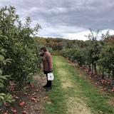 Russell Orchards