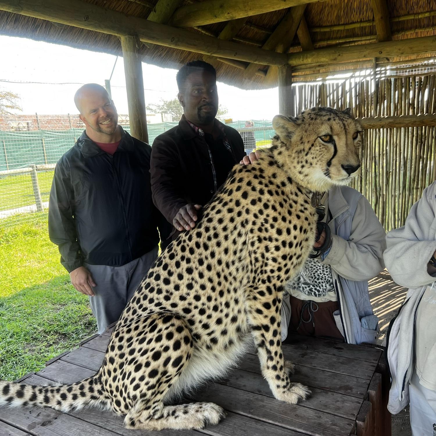 When Leslie was excited to pet a cheetah