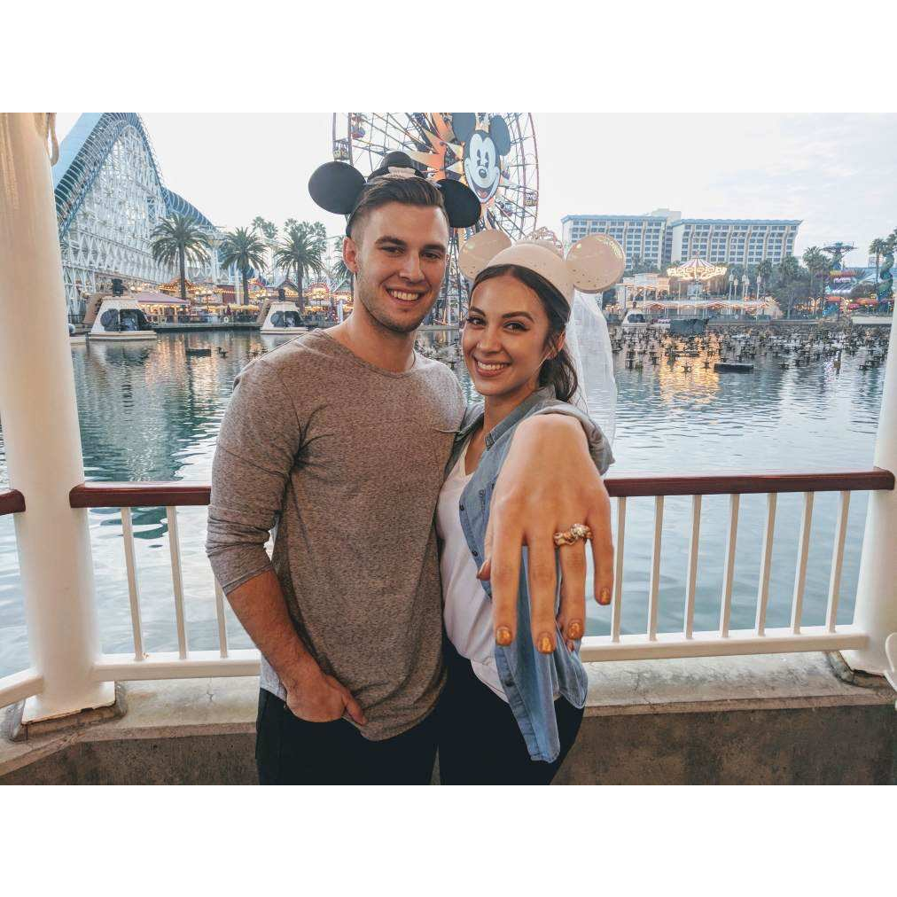 Met at Disneyworld, Engaged at Disneyland!