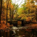 Mine Falls Park