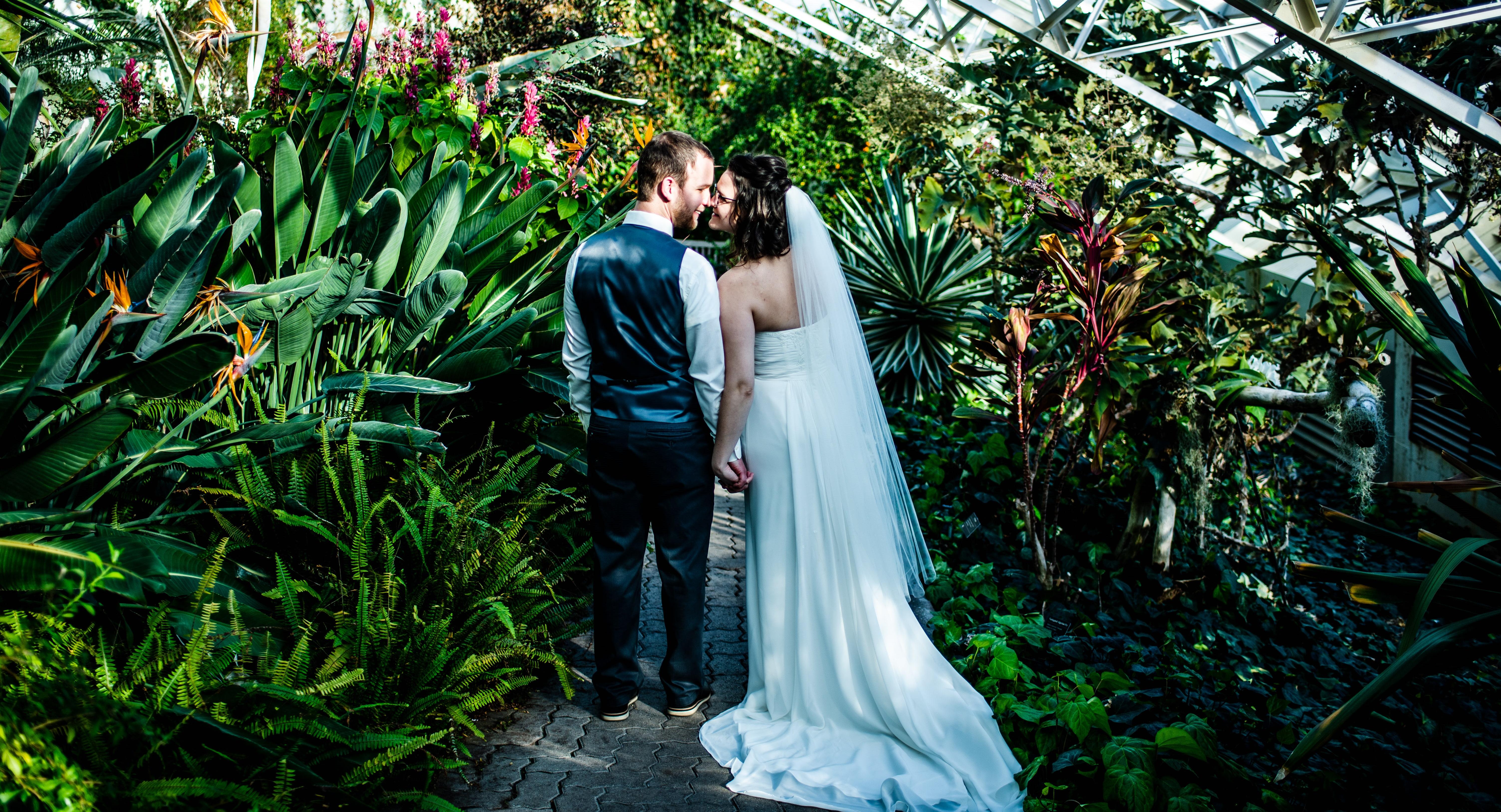 The Wedding Website of Darcy Whitney and Brandon Schweyer