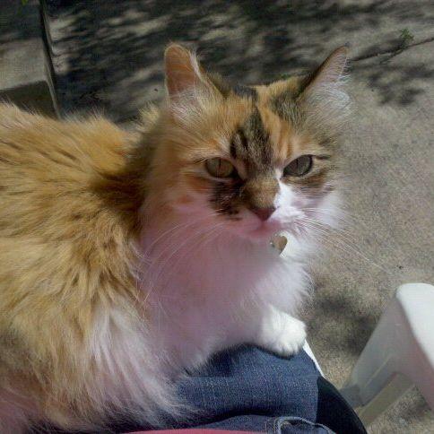 Lil Girl