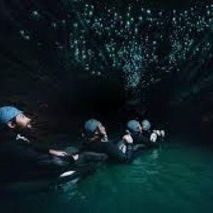 Waitomo "Glow Worm" Caves