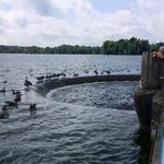 The Spillway