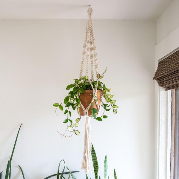 Flora Macrame Hanger