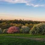 Arnold Arboretum of Harvard University