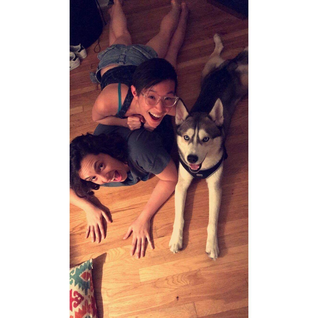 Babysitting Dama the pup, 2017