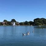 Byrd Park