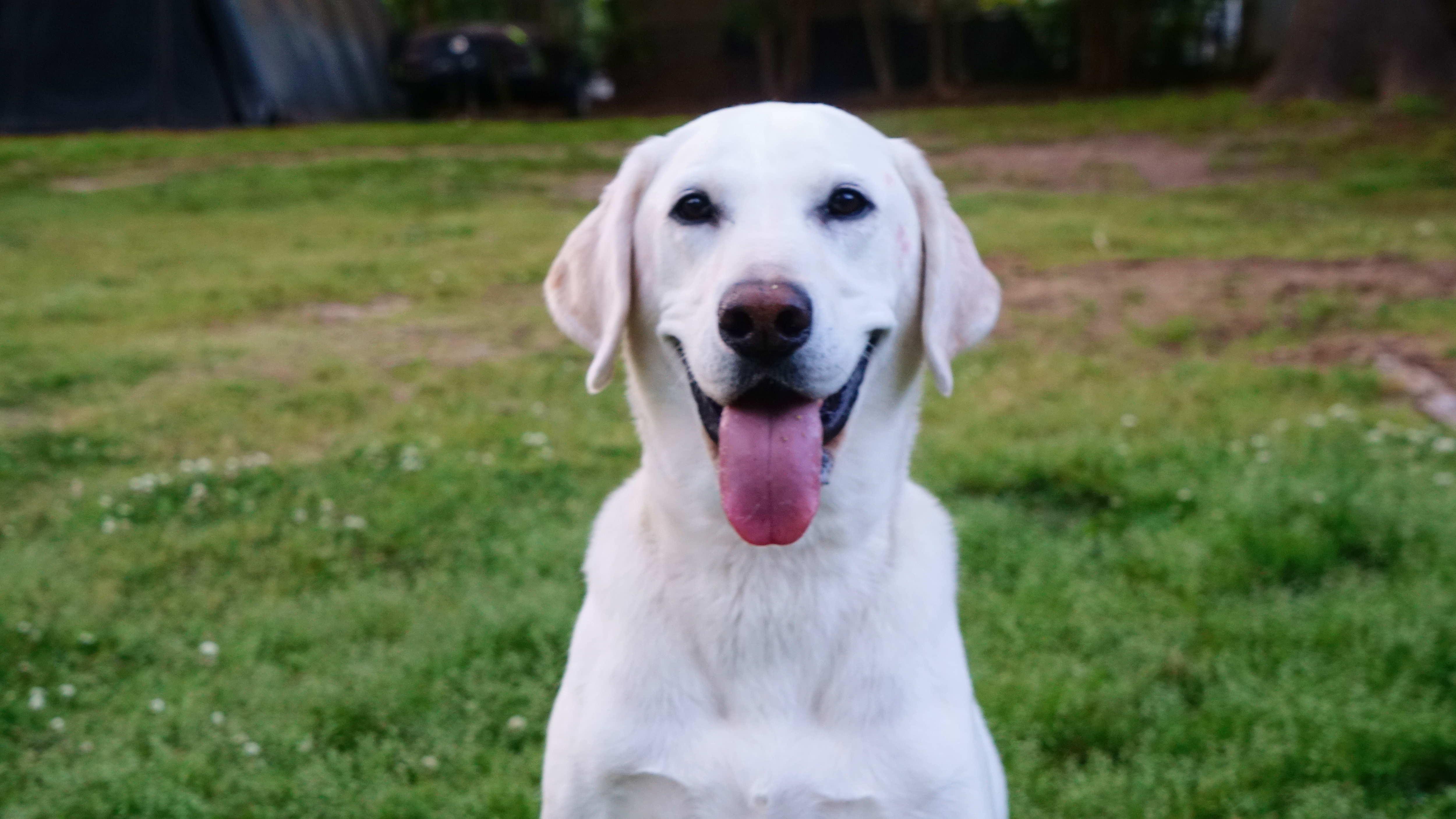 The Wedding Website of John Agens and Christin Smith