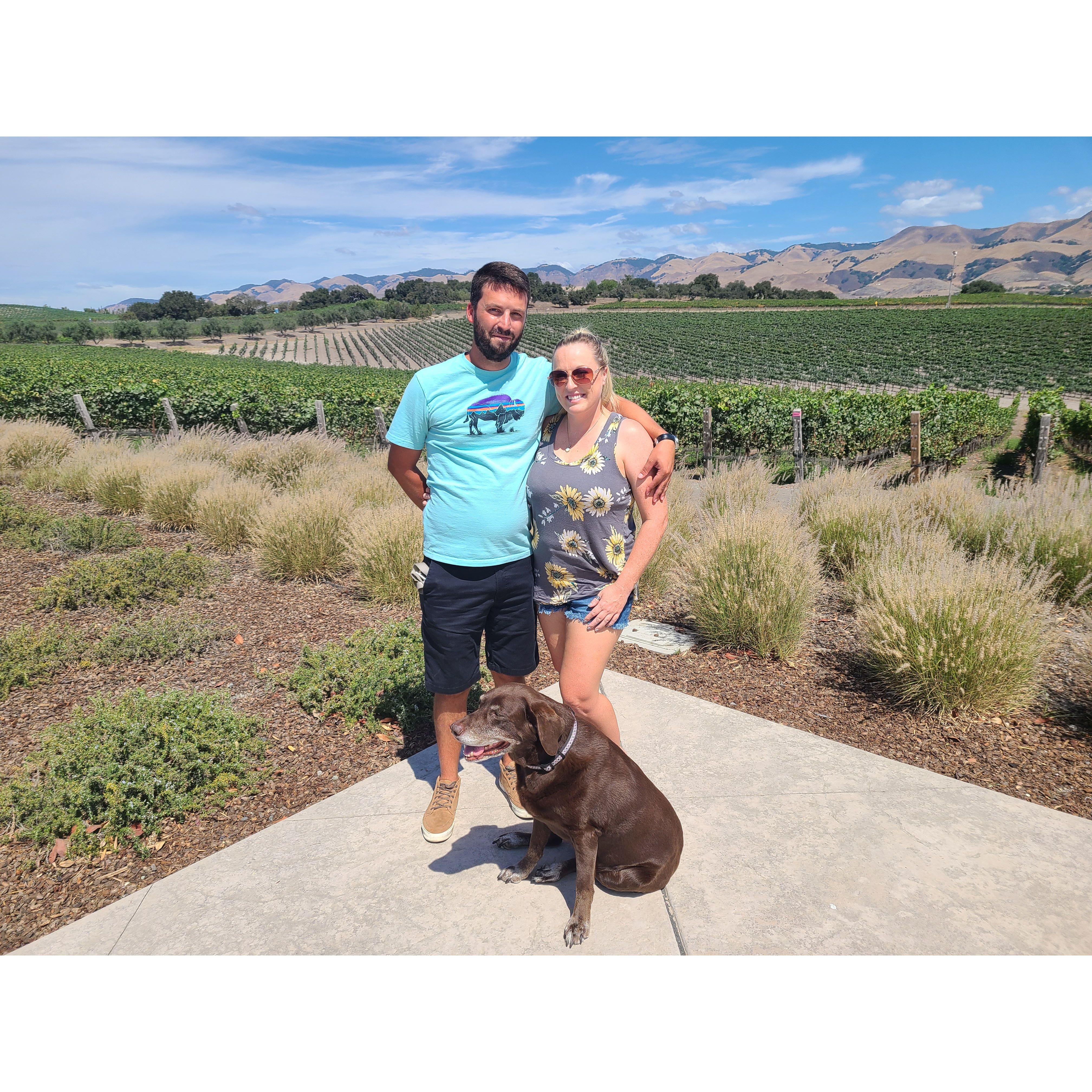 Winery Stop in California with Dharma